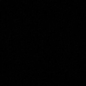 Meet your Posher, Trevor